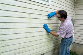 Best Custom Trim and Detailing for Siding  in Morrice, MI